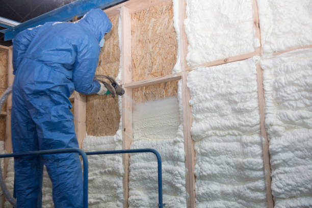 Best Eco-Friendly or Green Insulation Solutions  in Oak Hill, OH